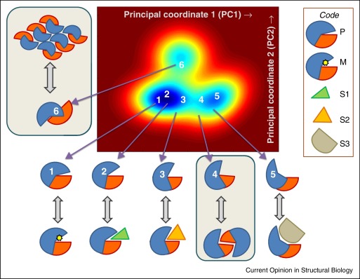 adaptabilityproteinstruct