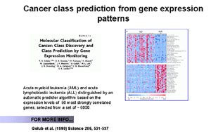 cancer class prediction from gene expression patterns
