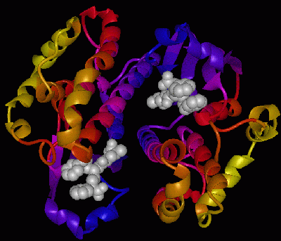 Characterization of anticancer agents