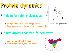 Protein Dynamics image