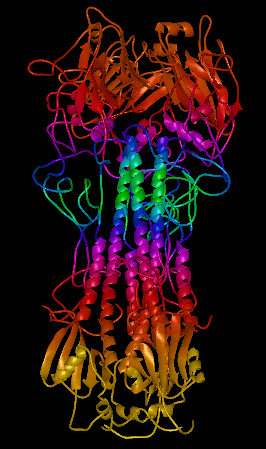 large protein structure